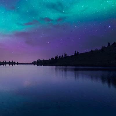 YallUglyBtches's profile picture. 