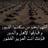 yahya_alzabna's profile image