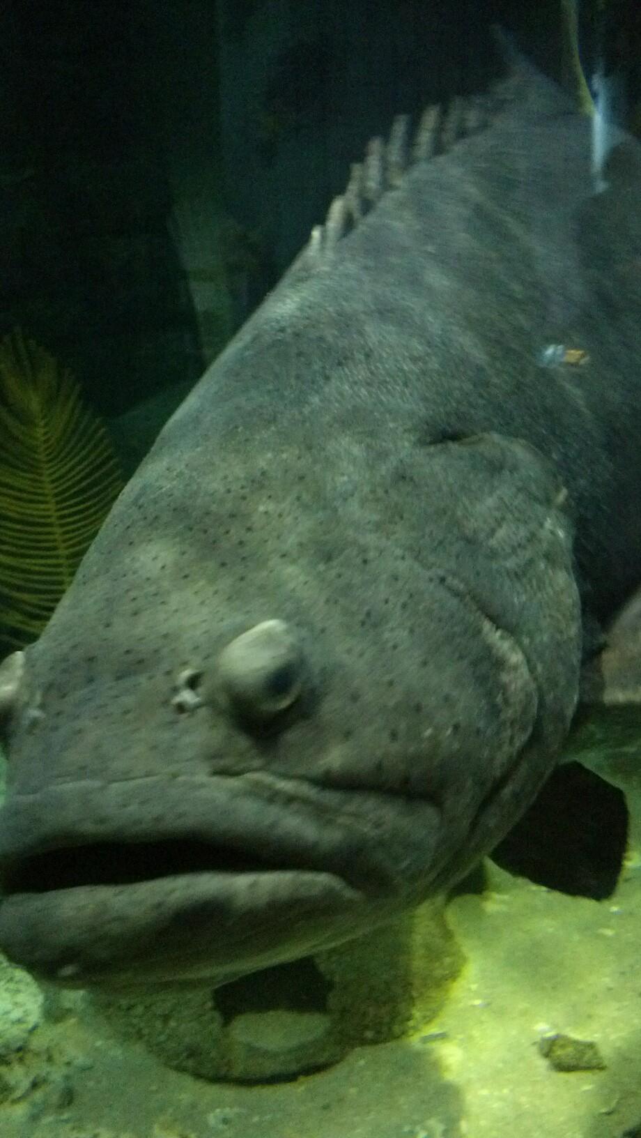 PRivenburgh's profile picture. Owner of Paul's Lawn Care, a landscape and property maint. company