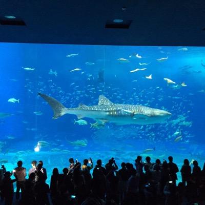 気ままにドライブ。食べ歩き。夕日。海。お一人様…最近海釣り始めました… SUP 家庭菜園 海釣り 魚釣り