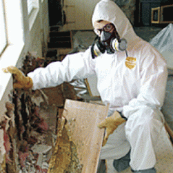 PAMOLDREMOVAL_'s profile picture. PA's Premier Certified Mold Removal Mold Remediation Mold Testing and Mold Inspection Experts Since 1995!
