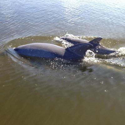 CProsolow's profile picture. A mother and a grandmother, and a strong believer of God.