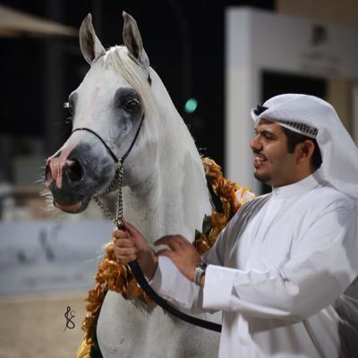 AE_ALRuwaili's profile picture. College of Law 2013 - Kuwait University …