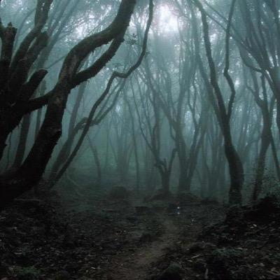 hello I'm Andrea follow me and I follow you
only in the darkness you can see the stars