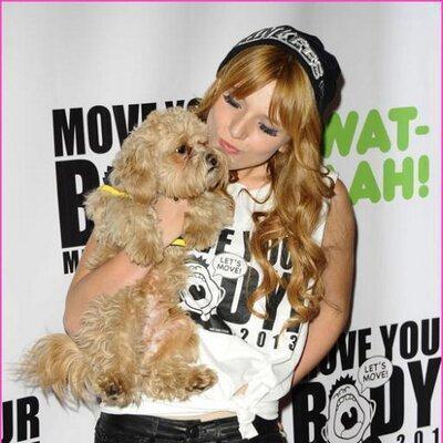 hevalbakir481's profile picture. 