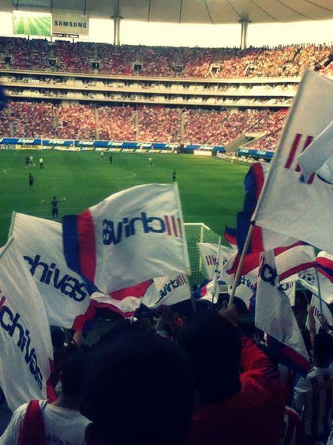 rojiblanka9's profile picture. 