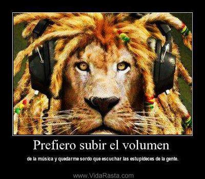 x fin viernes carajo