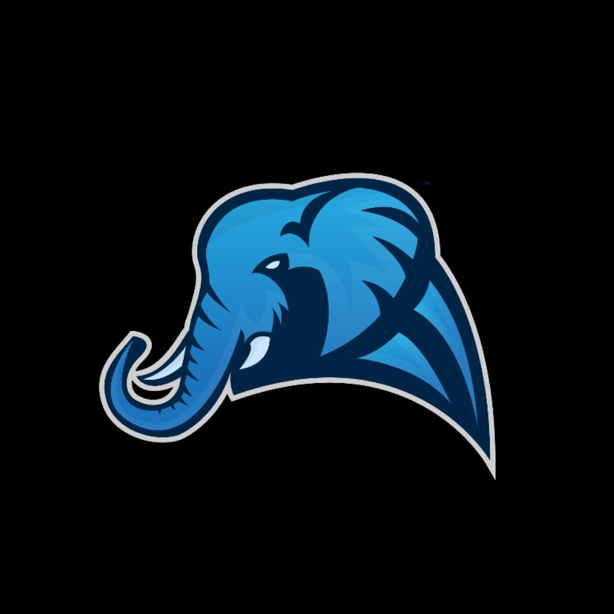 FS_RYBO's profile picture. 