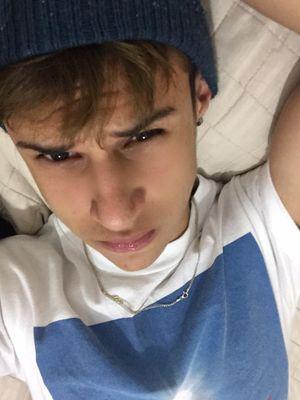 teddy te amo