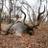 tv_wild's profile image