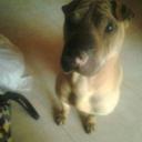 Alberto Javier Marti - @javier_mar1978 - Twitter