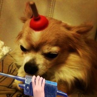 お米マン(⍨⃔)(⍨⃔)