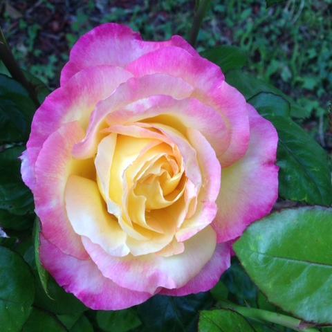 ghkelly's profile picture. 