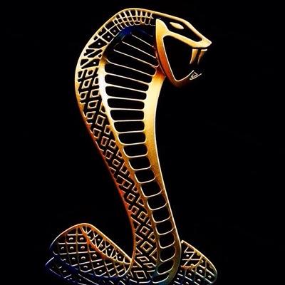 saturatedbore's profile picture. the saturday king yal