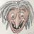 Norfrid's profile image