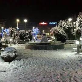 VicaGostivari's profile picture. 