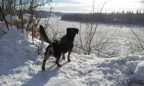 PapaKipChee's profile picture. 