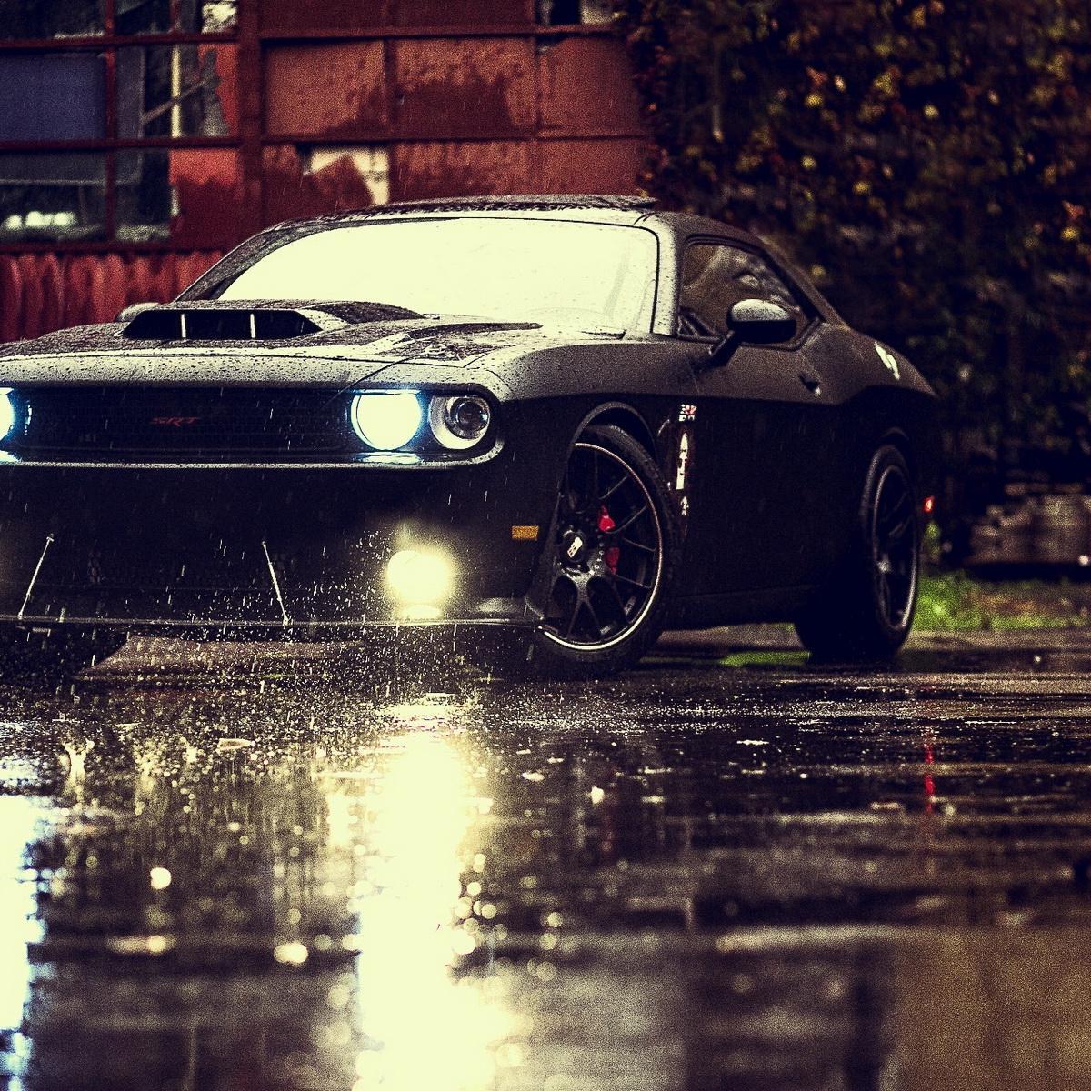 lmz2389's profile picture. 