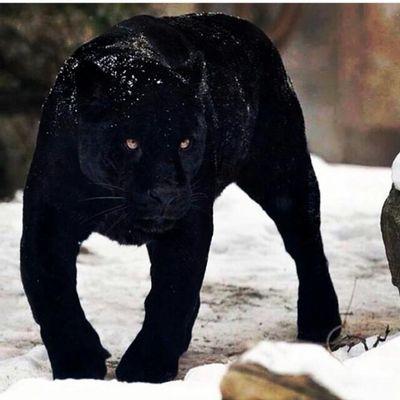 magomez_1's profile picture. The more people try to push you down, the higher God will take you. That’s the way God is.