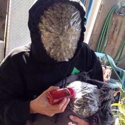 WeLikeMedical's profile picture. Dяug lояD- Inhale and hold that shit... #WeLoveMaryjane