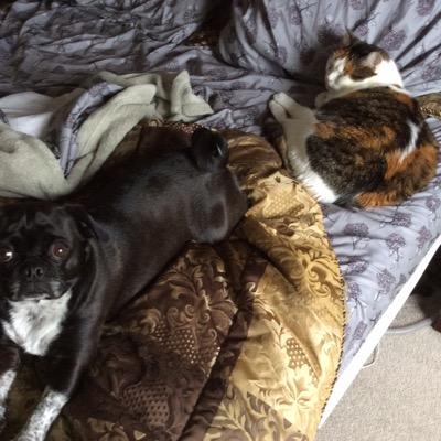 rtheriau's profile picture. 