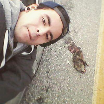 pawsmface's profile picture. Angelino. Capricorn. '92.