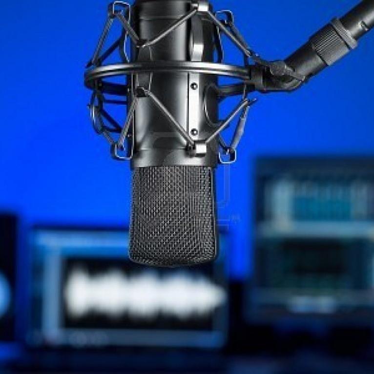 Find voice over auditions online for international, national and local companies and brands. Must have professional home studio setup.