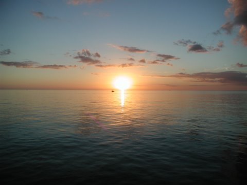 MarcoRentals's profile picture. A programmer/ vacation rental  owner/  tech follower