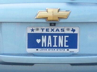 Sandy_bbh's profile picture. 