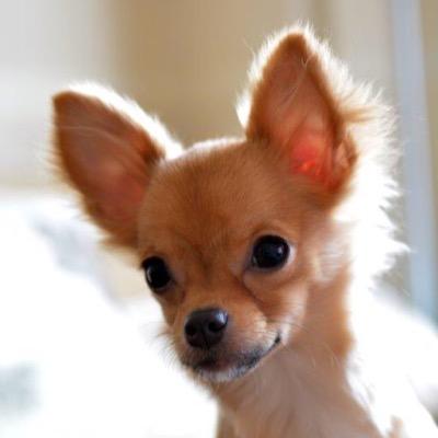 shinm11459705's profile picture. 