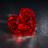 _1_SAFAA's profile image