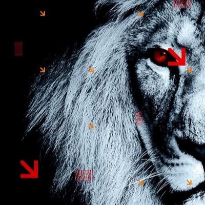 Lic. en Administración de Empresas, opositor, vicioso del Beisbol de los @leones_cbbc y @LosMets.