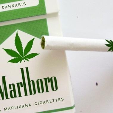 PatrikSandvall's profile picture. kille med båda fötterna på jorden