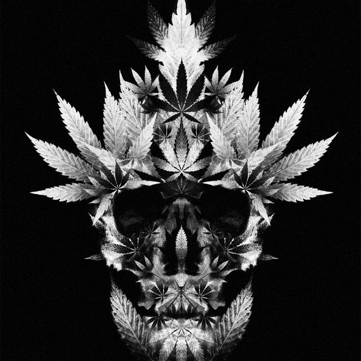 CassidySpangler's profile picture. I Like One Direction Go Ahead, Judge Me. You Wont Be The First