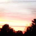 Alison Hedley - @alison_hedley - Twitter