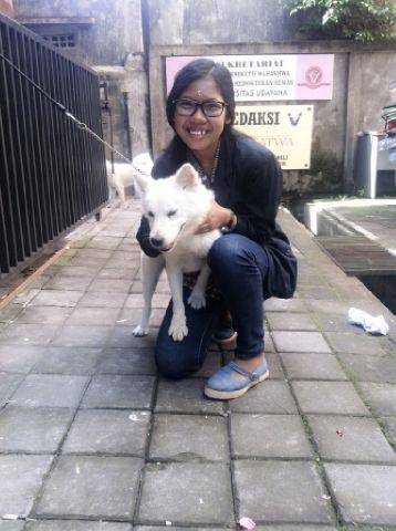 Veterinary medicine at Udayana University Bali 2013