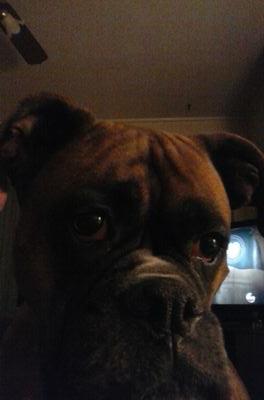 dburgess64's profile picture. 