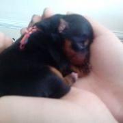 LenaLaska1's profile picture. 