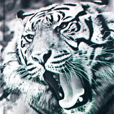 Follower_Gains's profile picture. JUST RT AND FOLLOW TO GET +100 FOLLOWERS INSTANTLY!