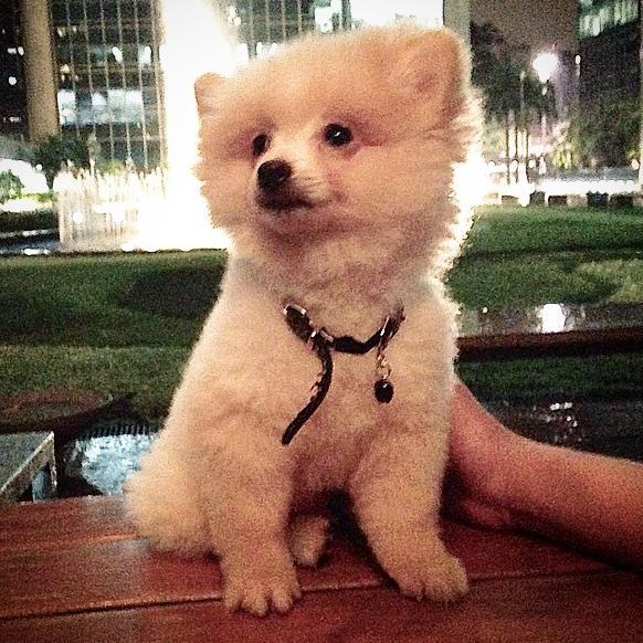 lajota_na_laje's profile picture. Late que eu to passando