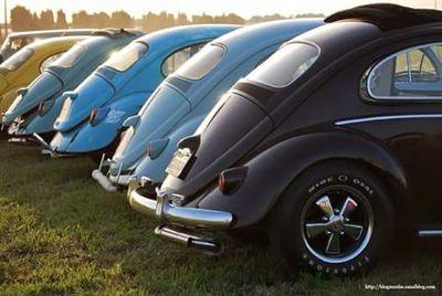 interactuar1973's profile picture. 