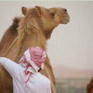 ﻟآ ﺗﻧﺷدﯙﻧي ﯾآﮪــﻟي .. ﯙﯾن بآرﯙح   ﺑﺳري ﻣع آﻟﮪآﺟﯙس ﯙآﺗﺑع ﺿﻧﯙﻧي @-- ~