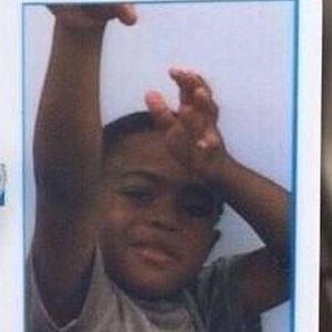 FreeDogNight's profile picture. 