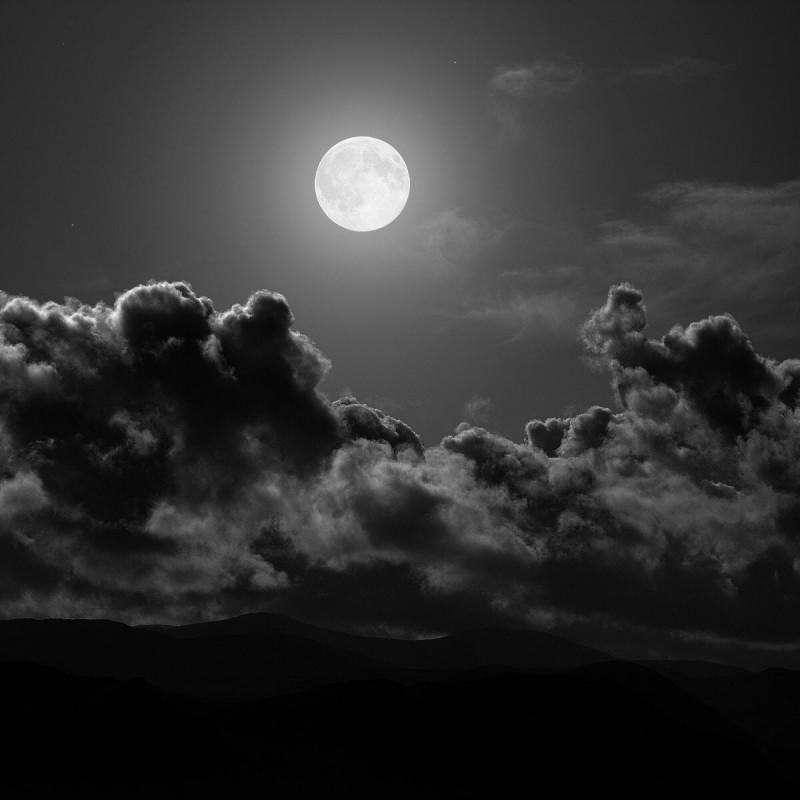 MsAlegnaBee's profile picture. Author of Fiction, Self Help and a lazy blogger