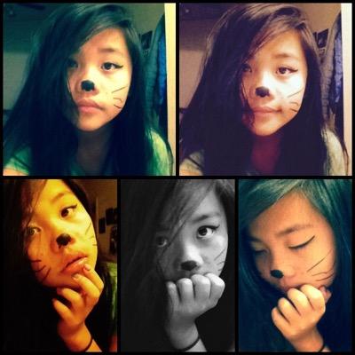 MirandaLeeXiong's profile picture. Panda Lover! ❤️❤️