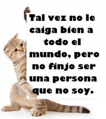 Sigueme y te sigo, hay bastante que ver.