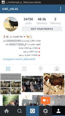 ‏‏أول حساب إماراتي يختص بنشر إعلاناتكم لبيع وشراء الحلال مجانا
إعلانات الأفراد: +971506603389
العقود التجارية: +971505772826
Insta: ‎‎@uae_7alal
47 ألف متابع