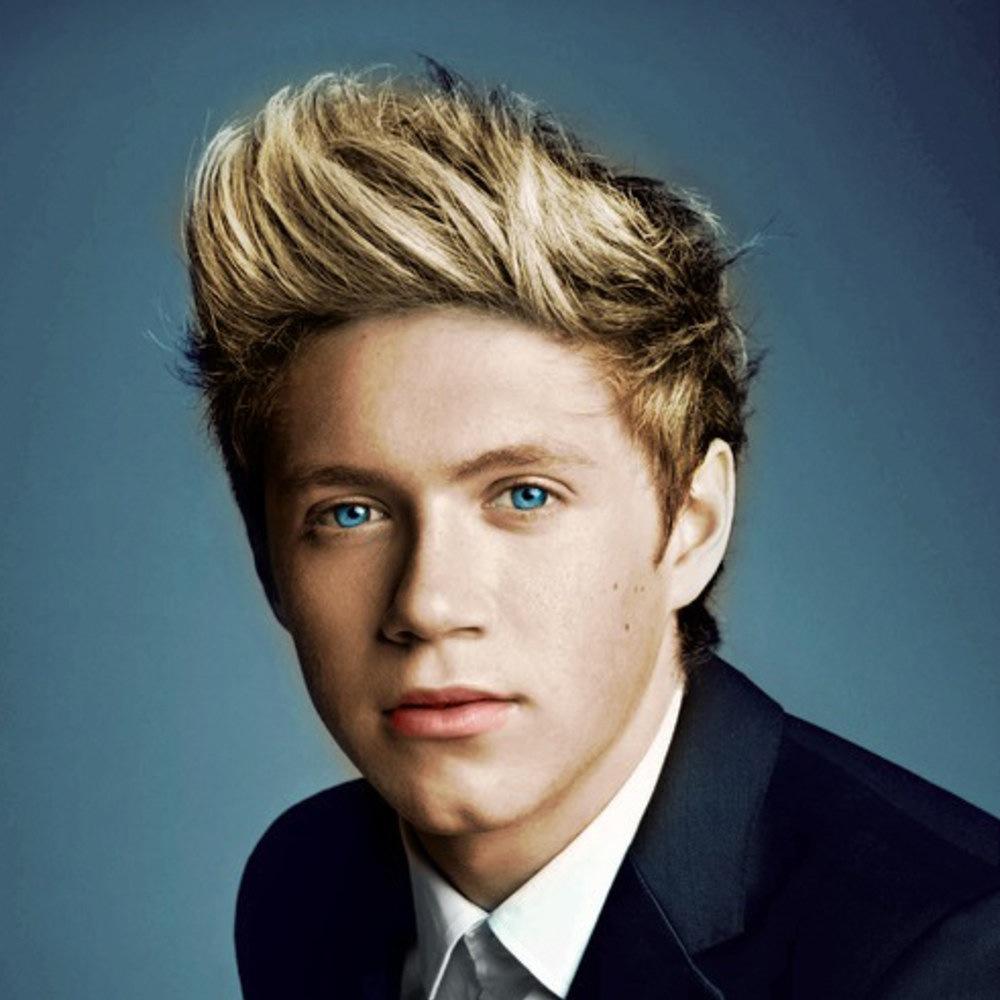 Niall § Harry § Louis§ Liam §  Zayn §    One Direction