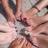 admirer_toots's profile image