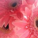 ☆ (@1192_3972) Twitter